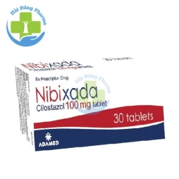 Nibixada 100mg - Hộp 3 vỉ x 10 viên